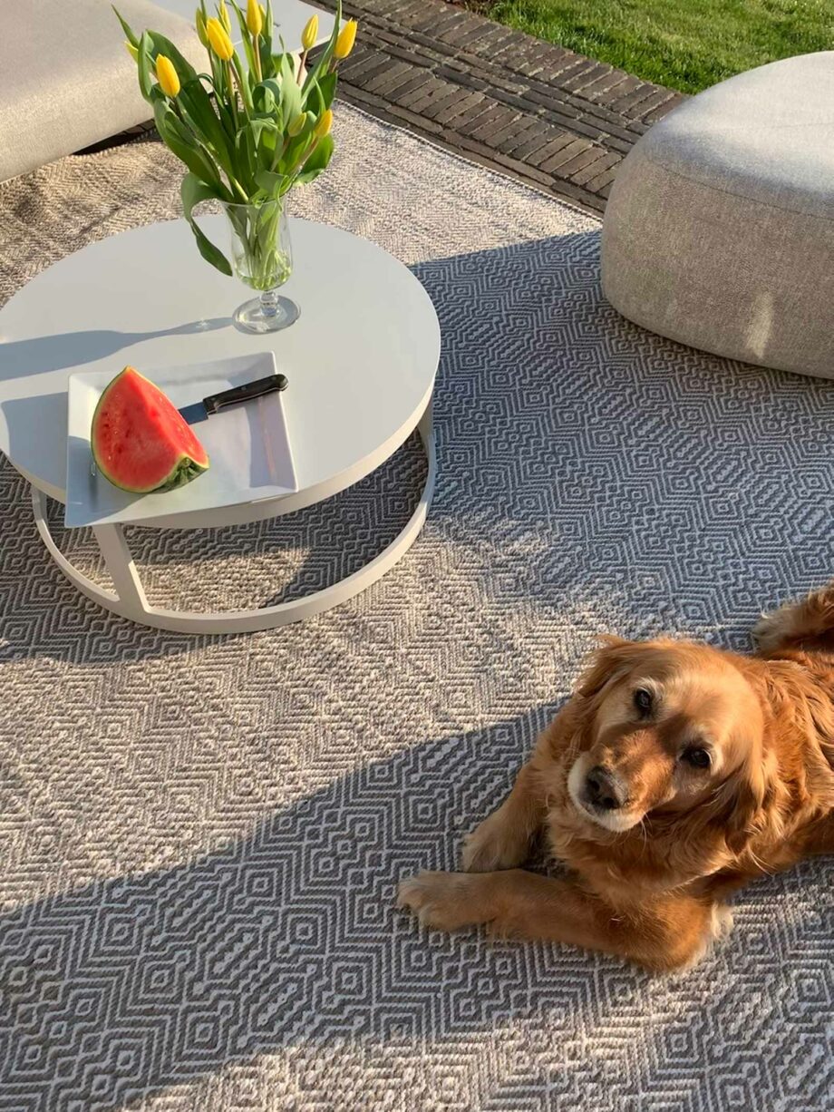 Angelo Rugs Terraza Outdoor 3038 56 S3 TCH