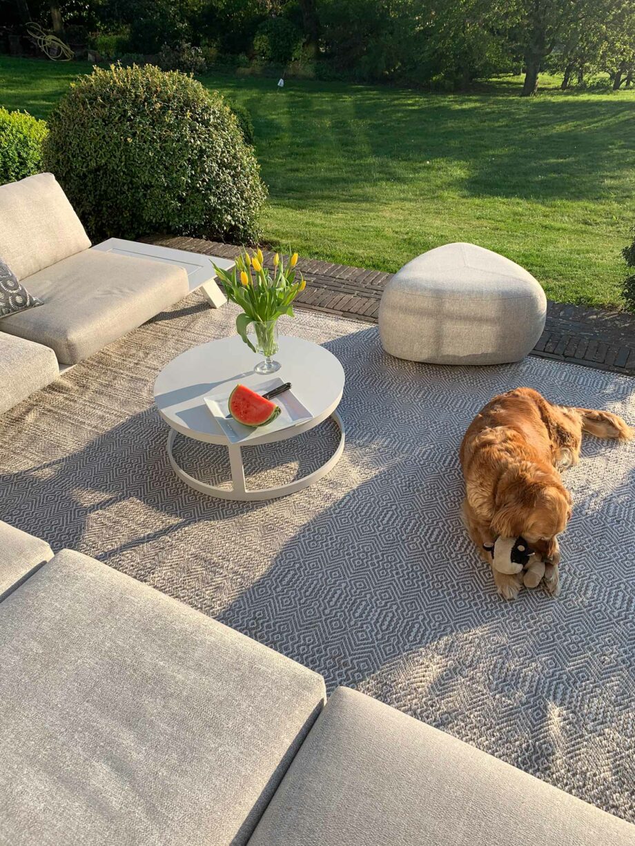 Angelo Rugs Terraza Outdoor 3038 56 S6 TCH