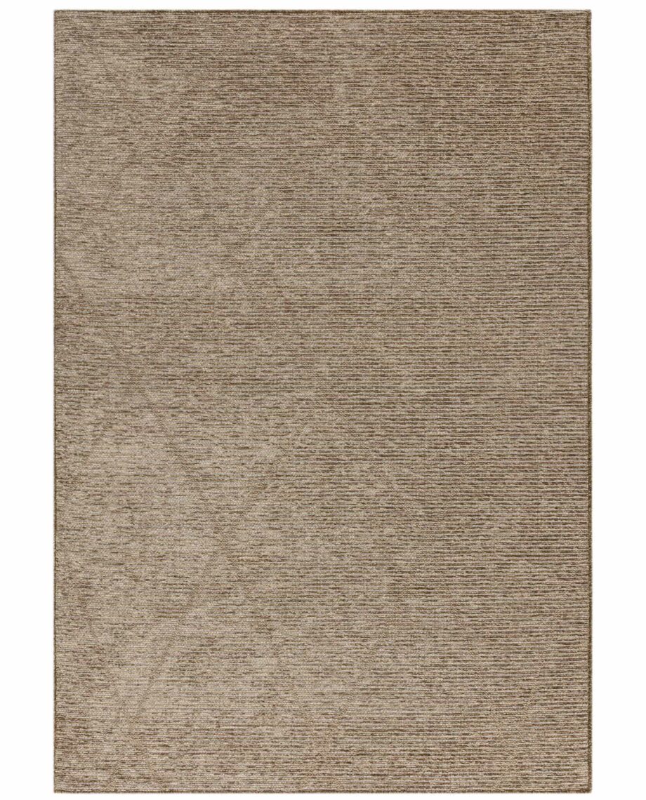 Asiatic Mulberry bronze